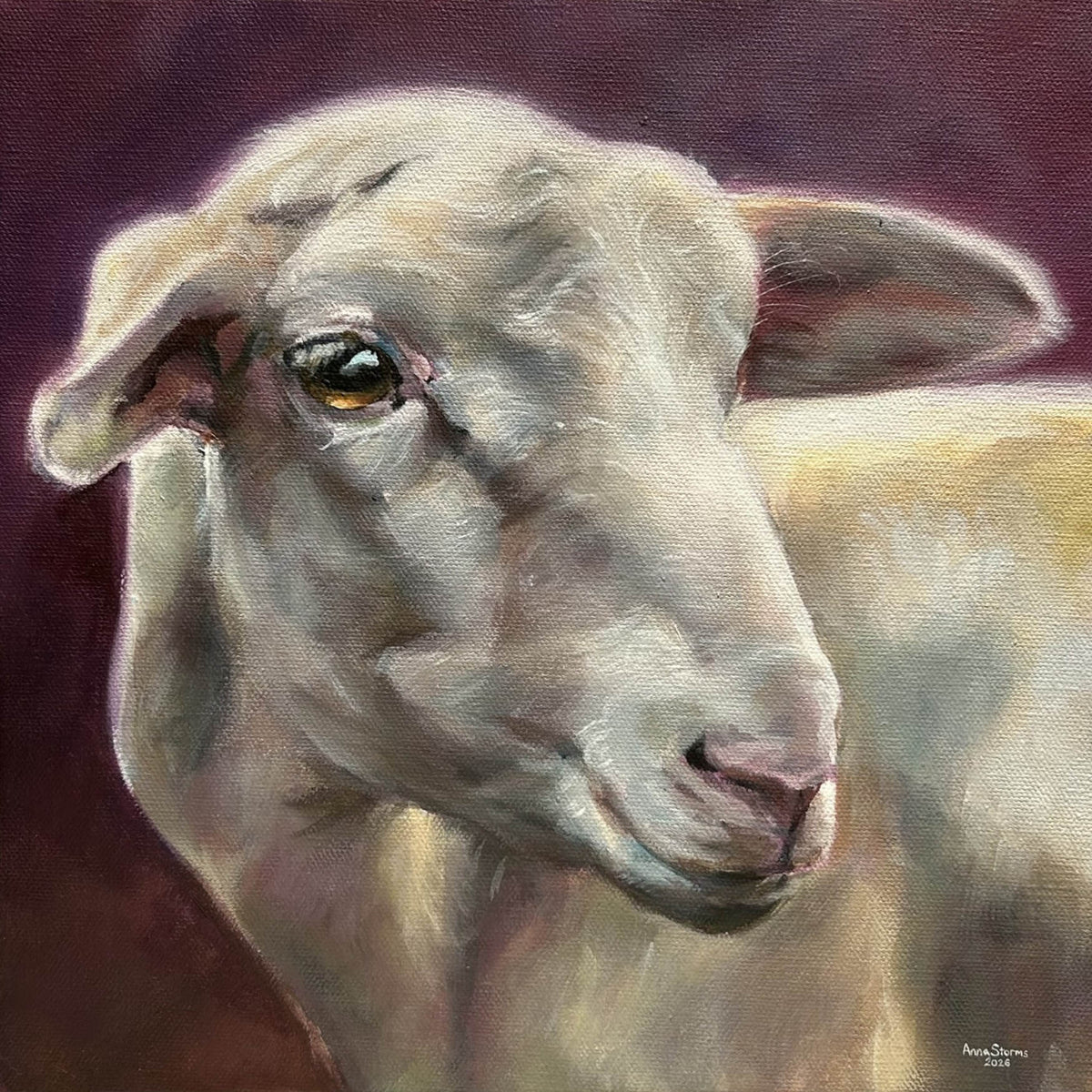 Anna Storms - Sheep
