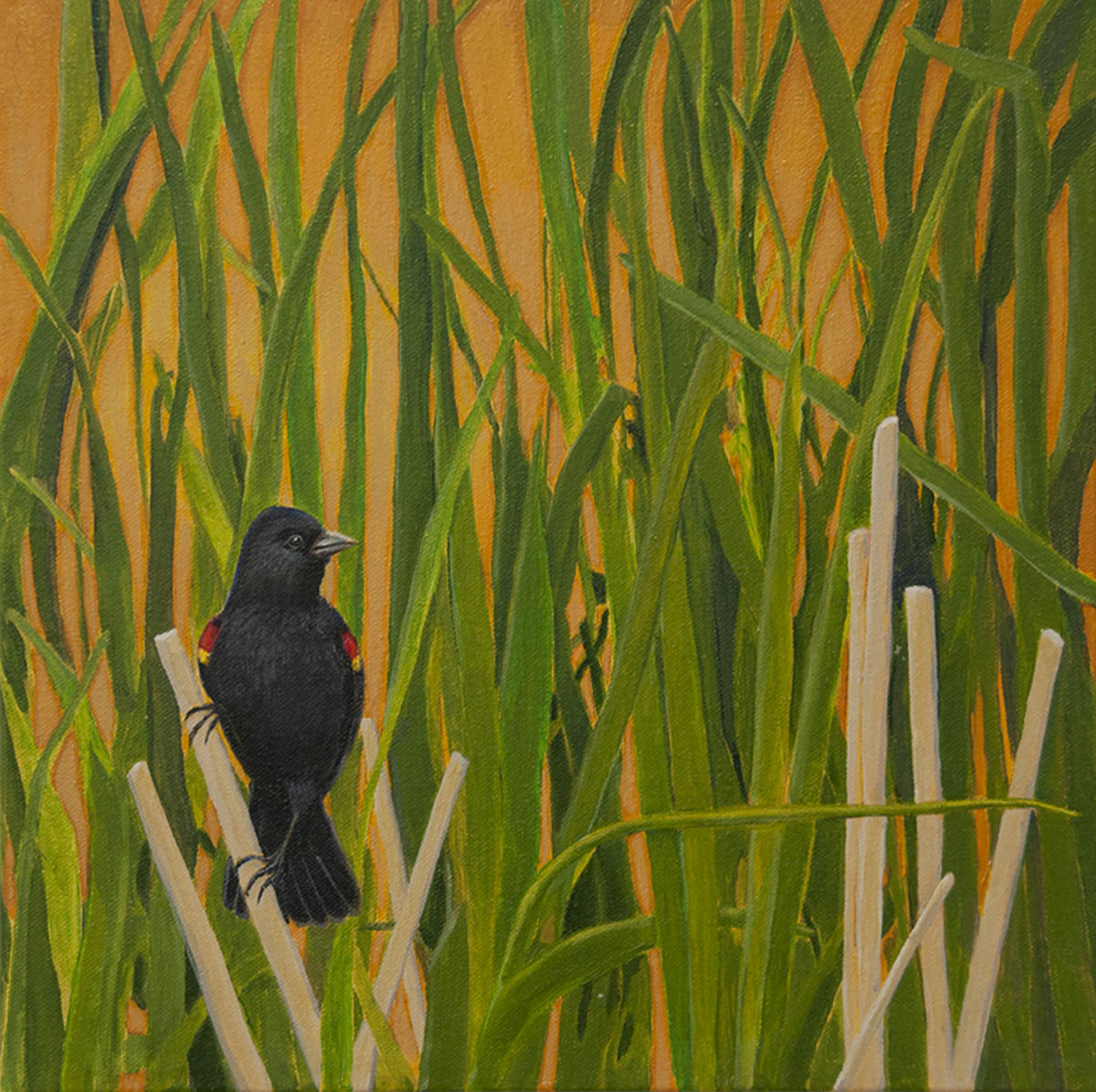 Barbara Bickell - The Rush