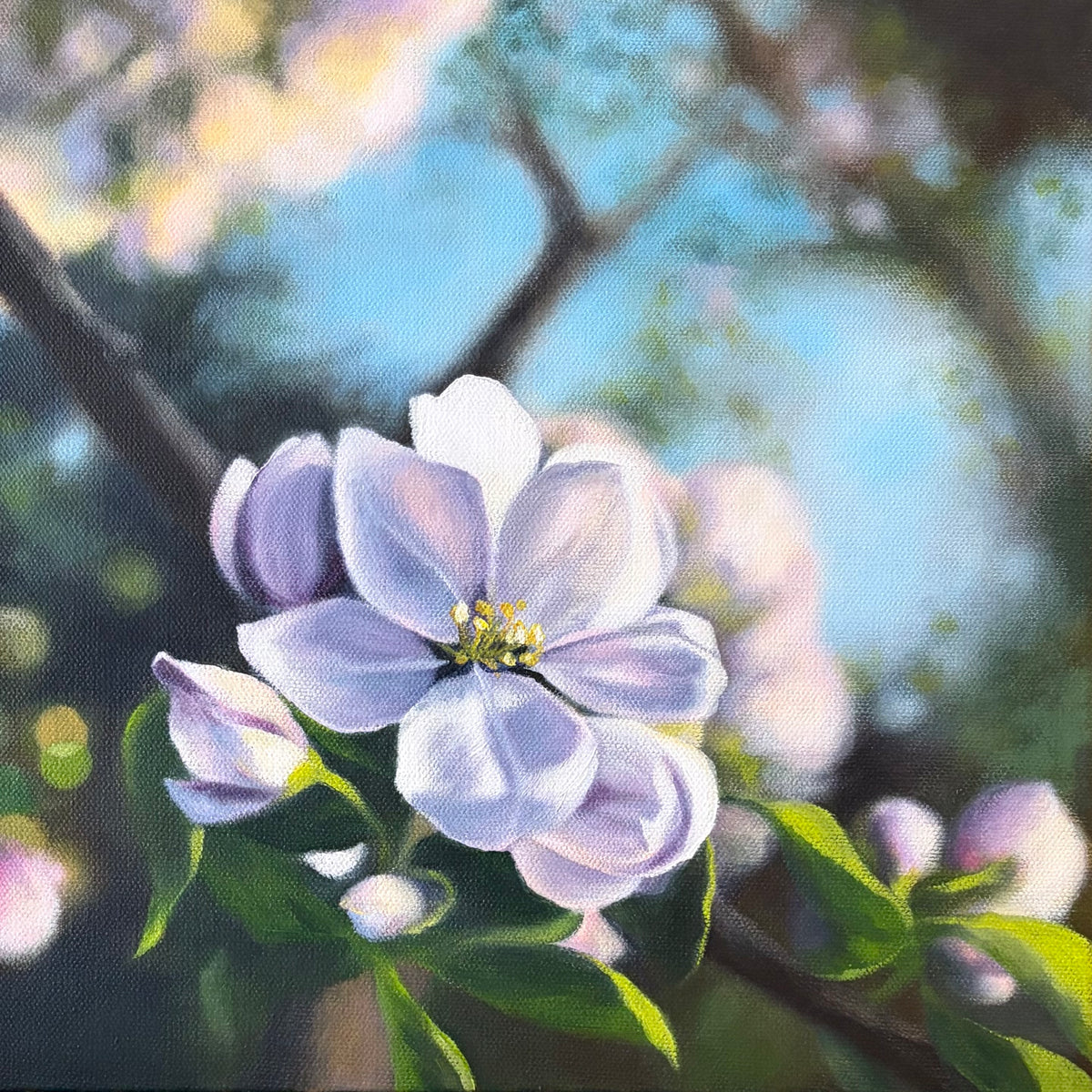 Nadine Baker - Morning Blossoms