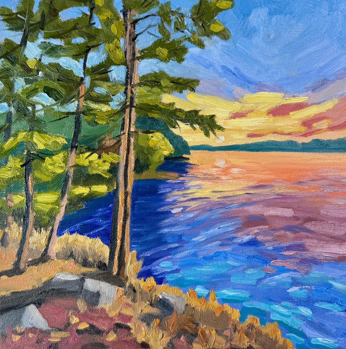 Stacey Robb - Backcountry Shoreline