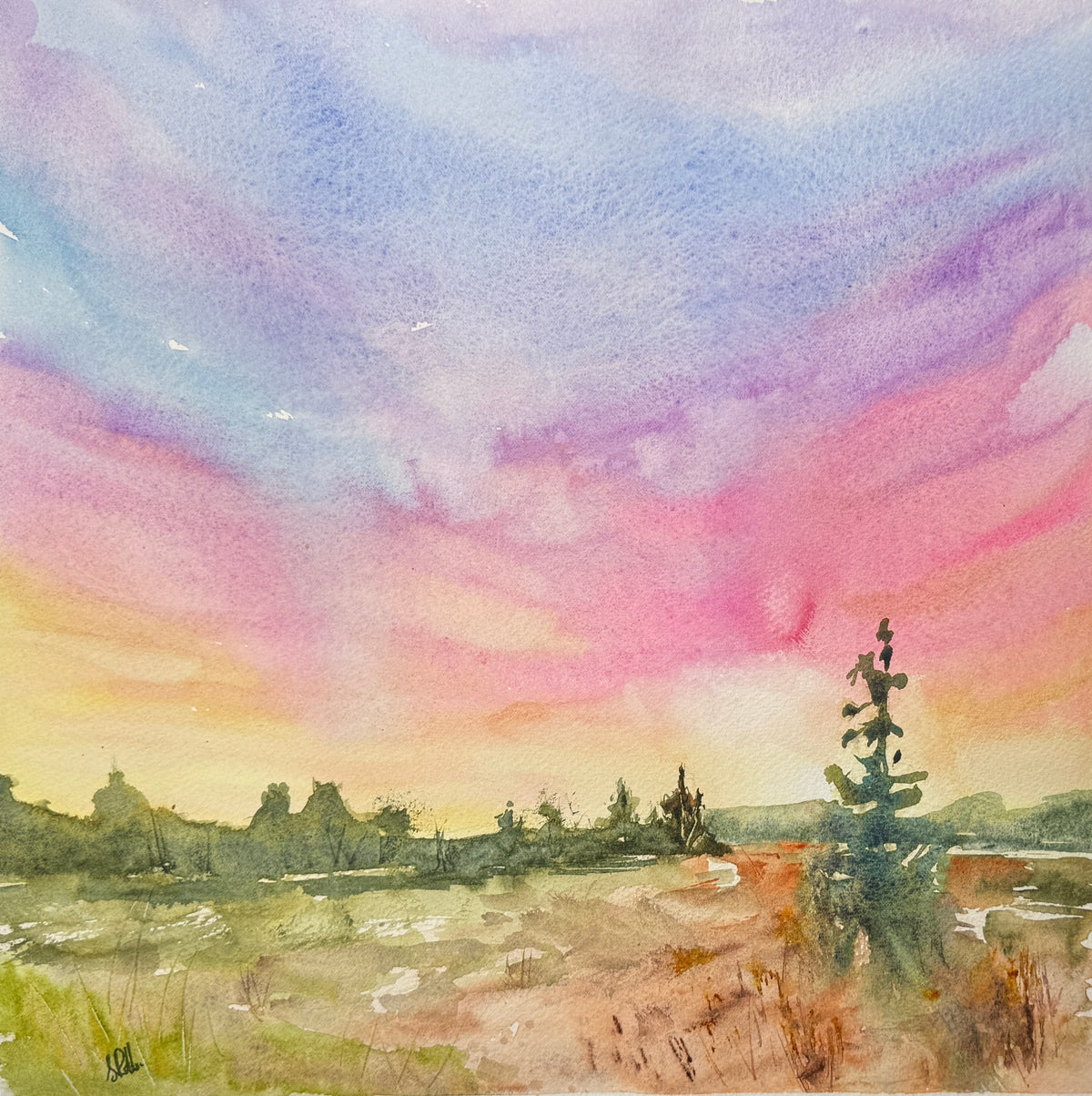 Stacey Robb - Rural Oasis