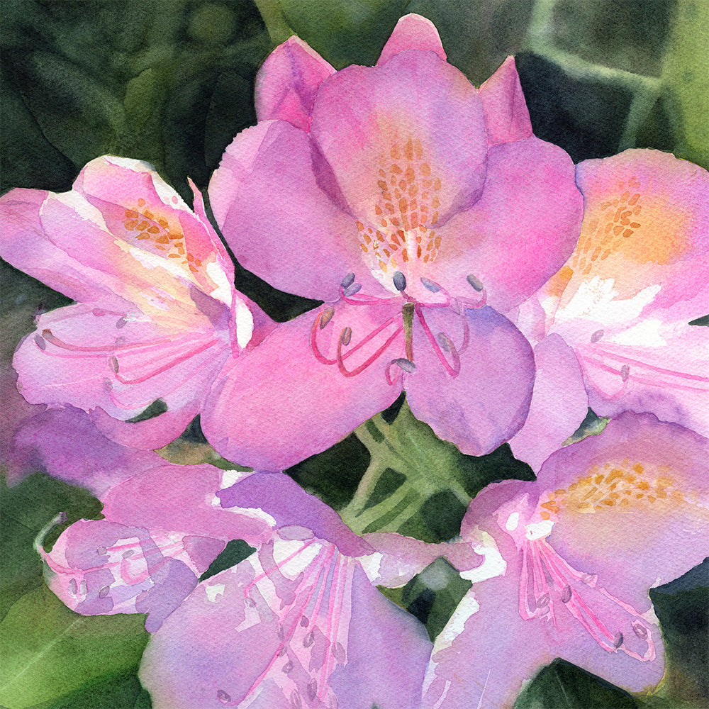 Wendy Millard - Summer Abundance