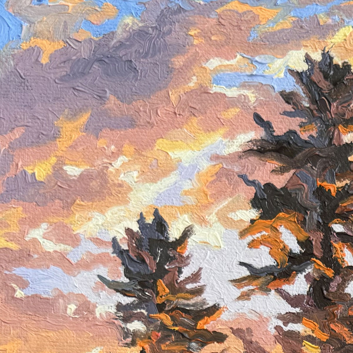 Sue Miller - Sweeping Light