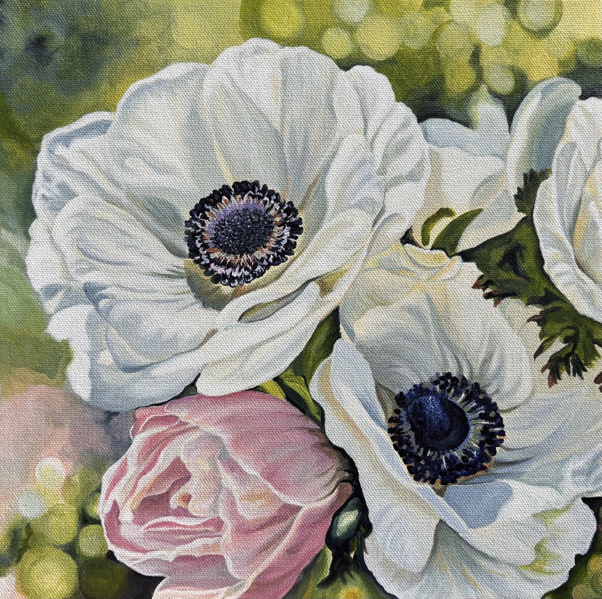 Carolyn Carriere - Anemones
