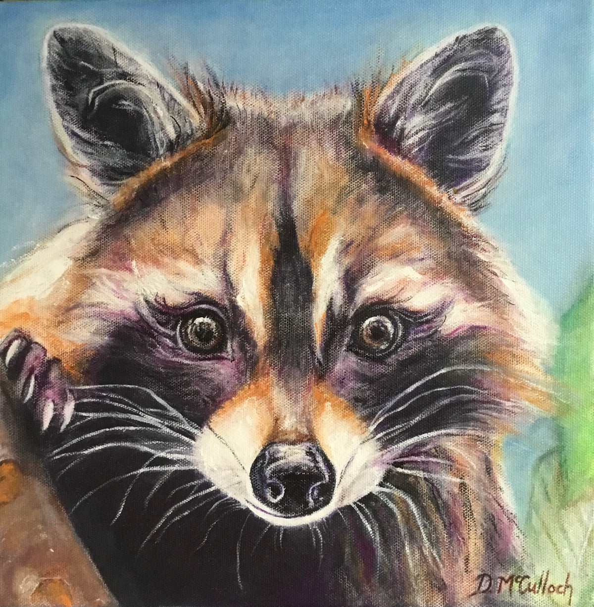 Deb McCulloch - Racoon