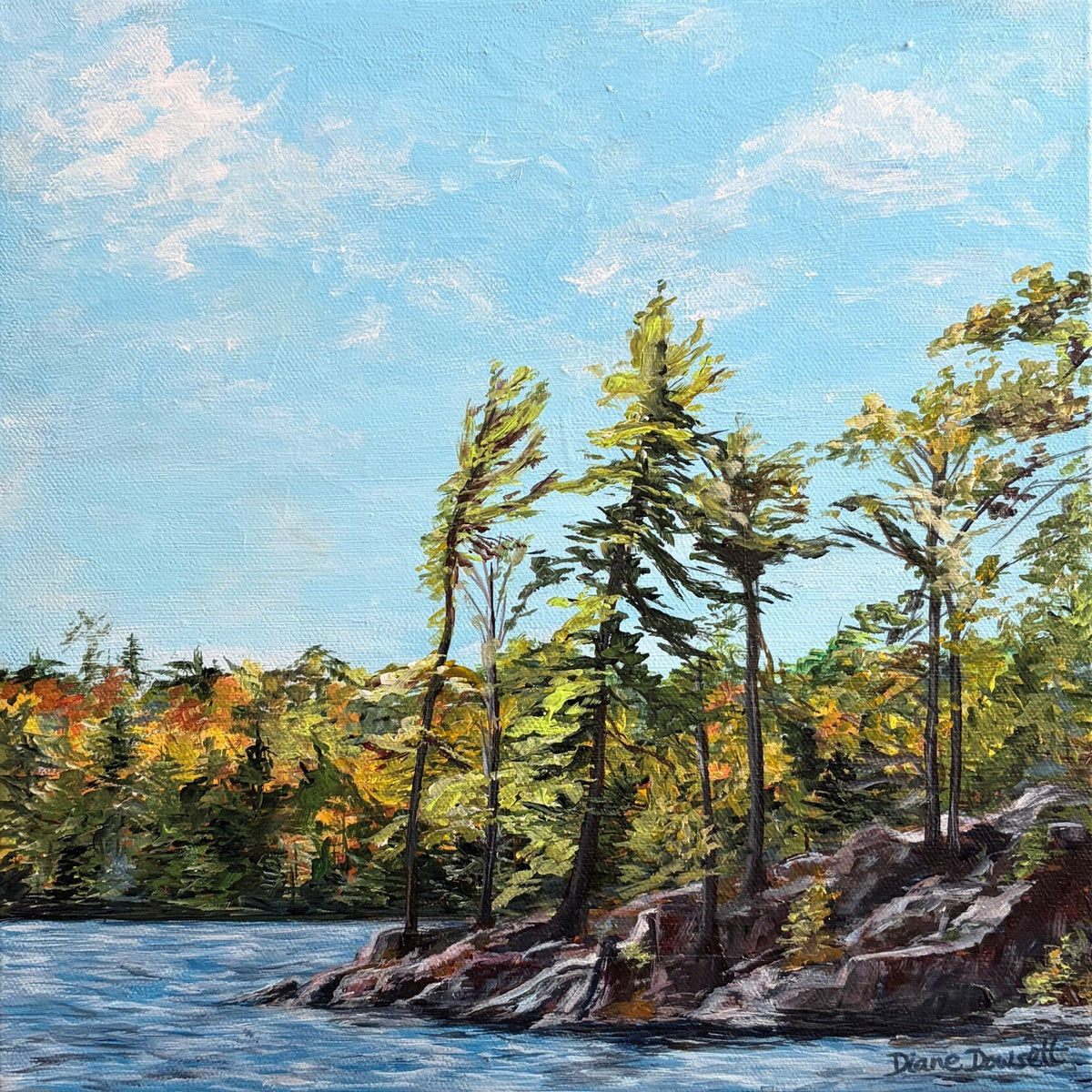 Diane Dowsett - On the Rocks