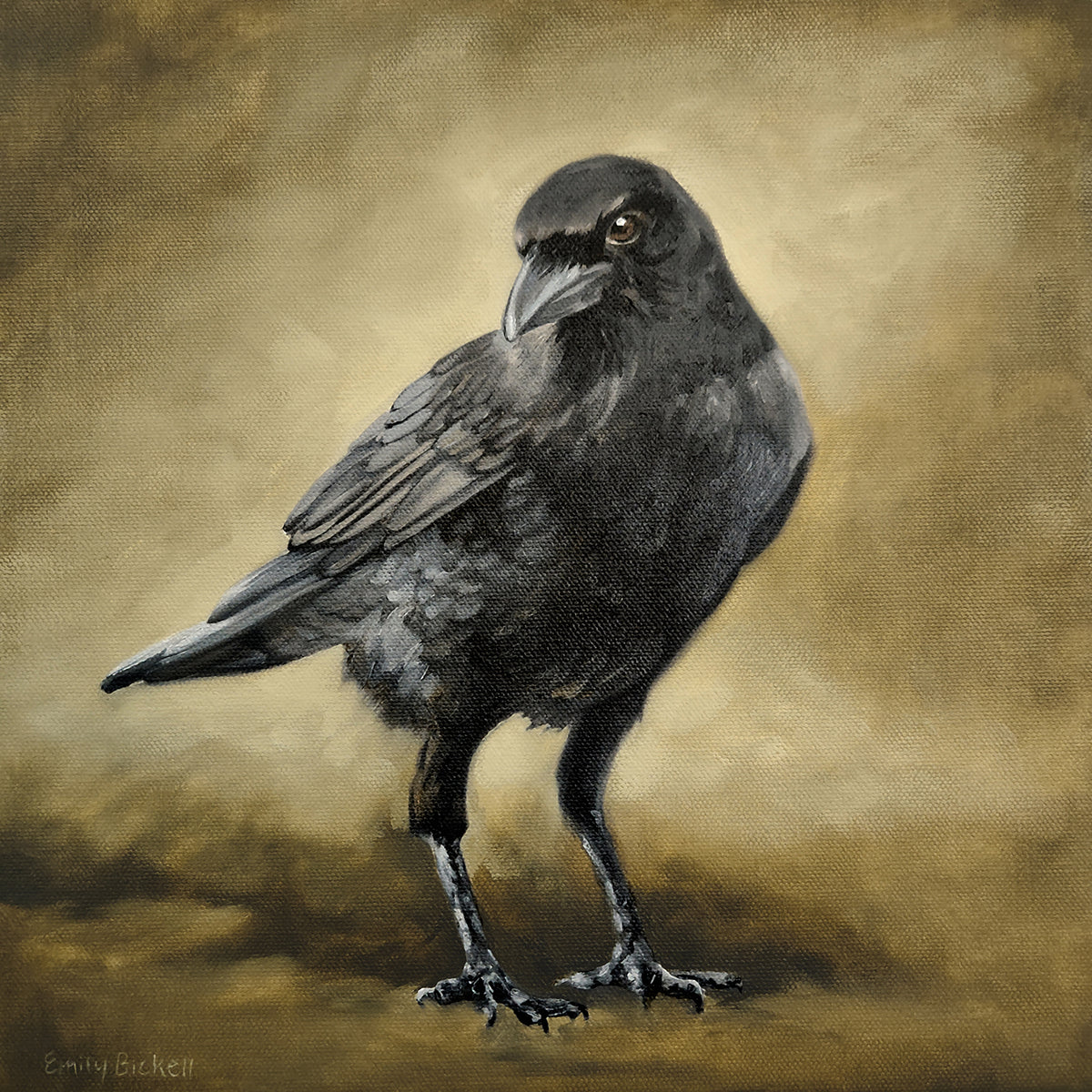 Emily Bickell - American Crow 2
