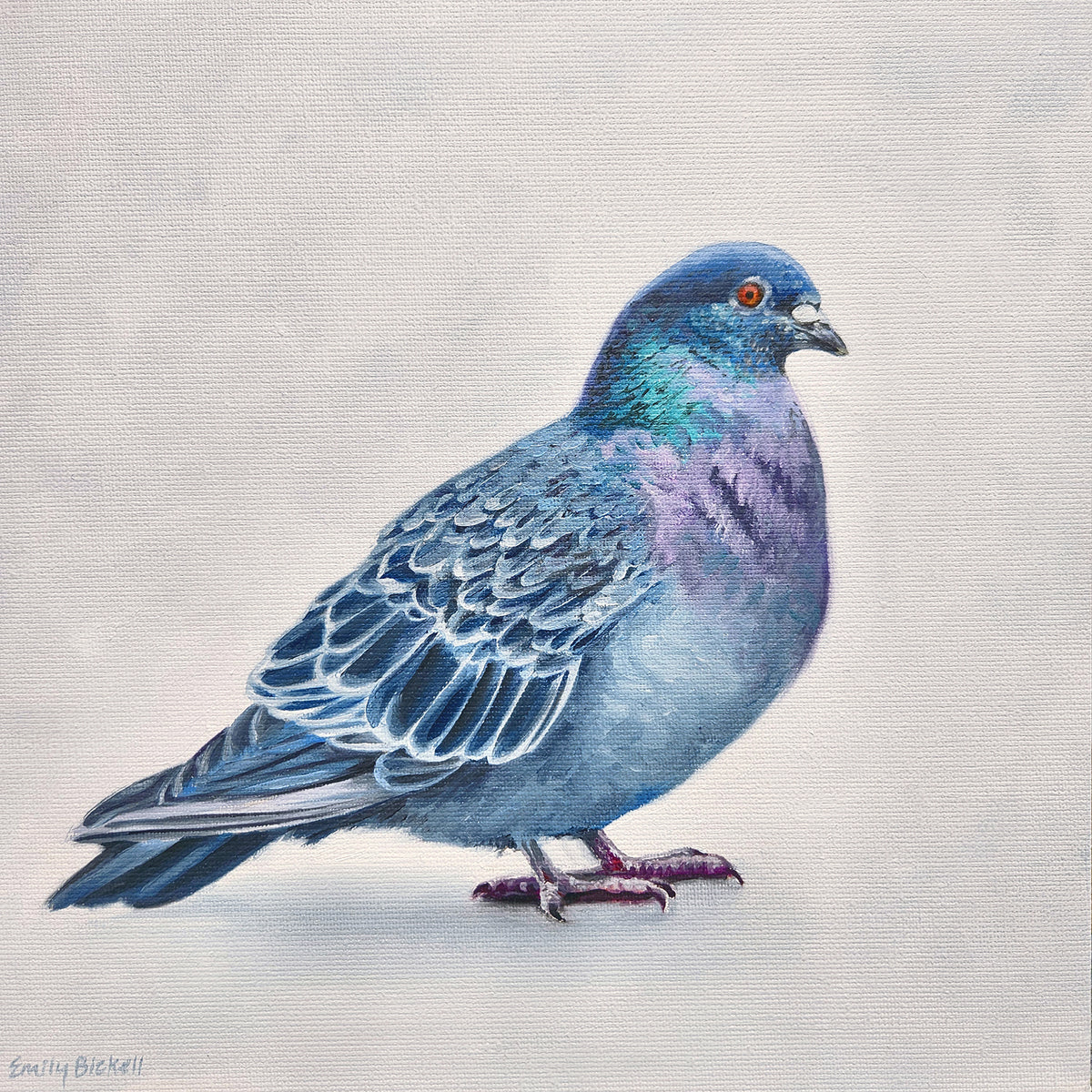 Emily Bickell - Rock Pigeon 12