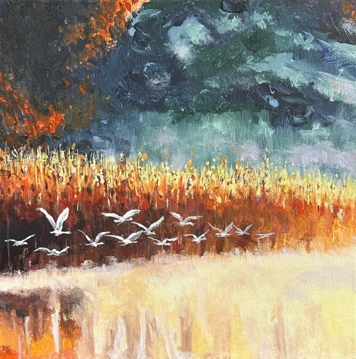 Greg van Rossem - First Flight
