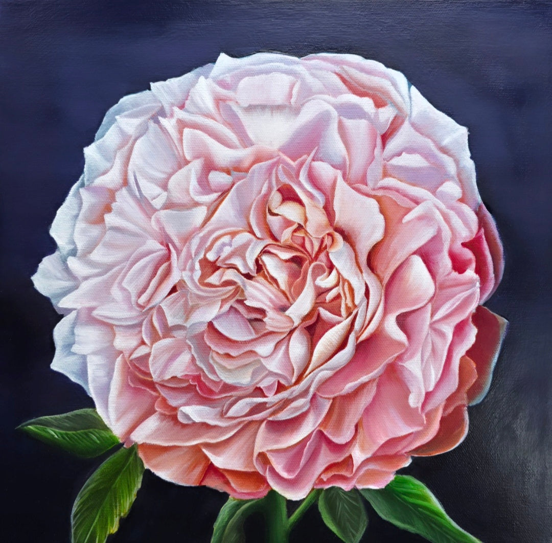 Maria Azmari - Baby bell peony