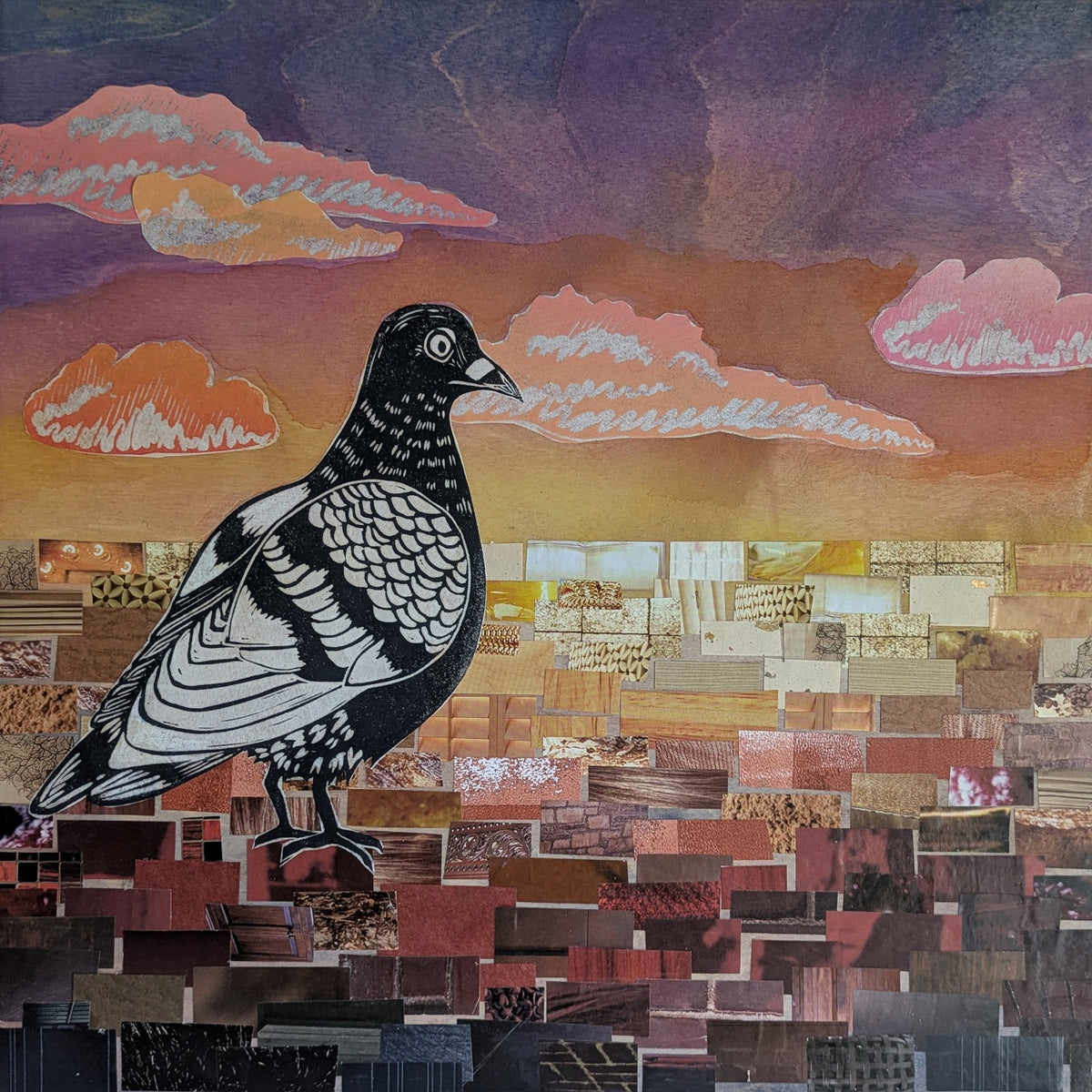 Phoebe Cohoe - Head in the clouds