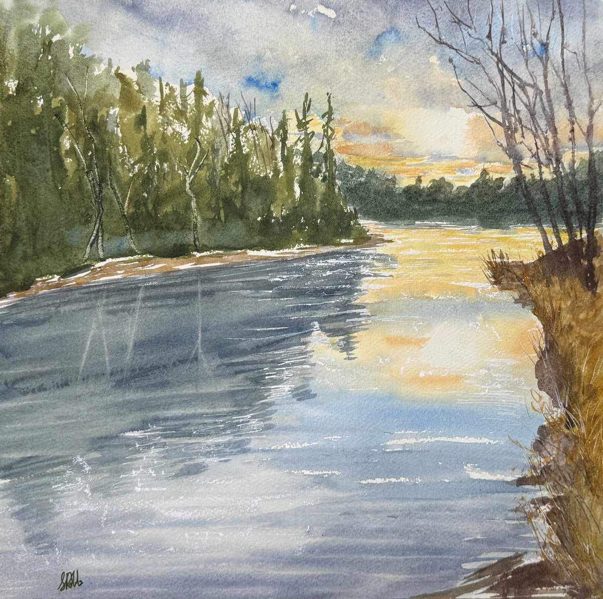 Stacey Robb - Salmon River Light
