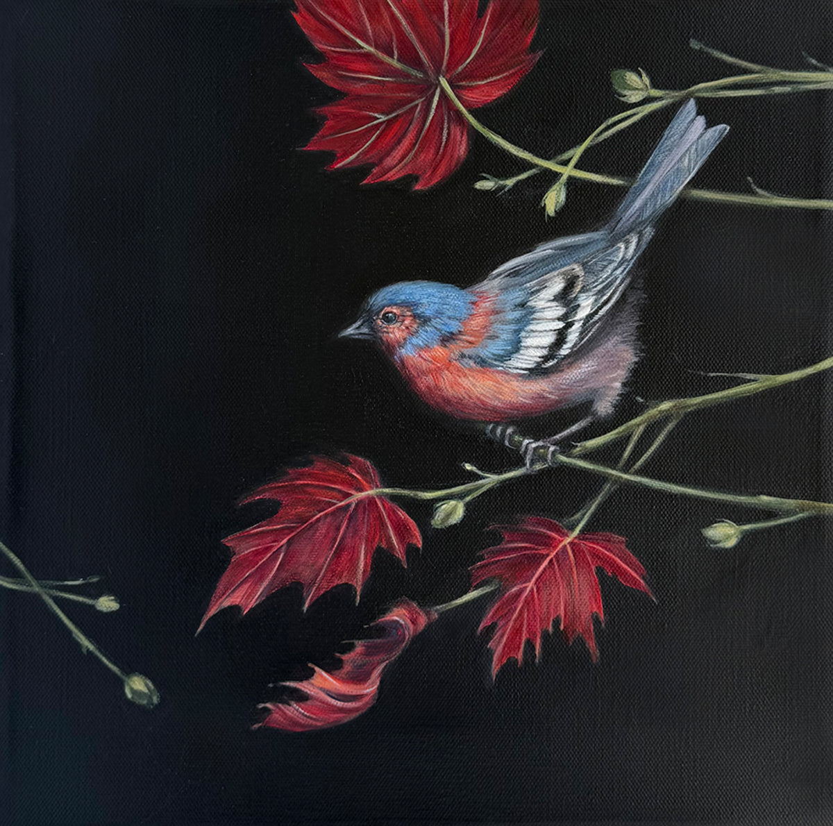 Tammy Shane - Midnight Garden