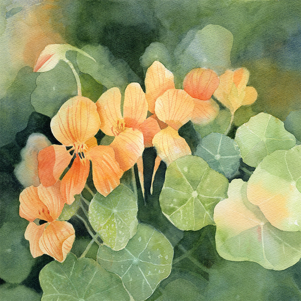 Wendy Millard - Garden Glow