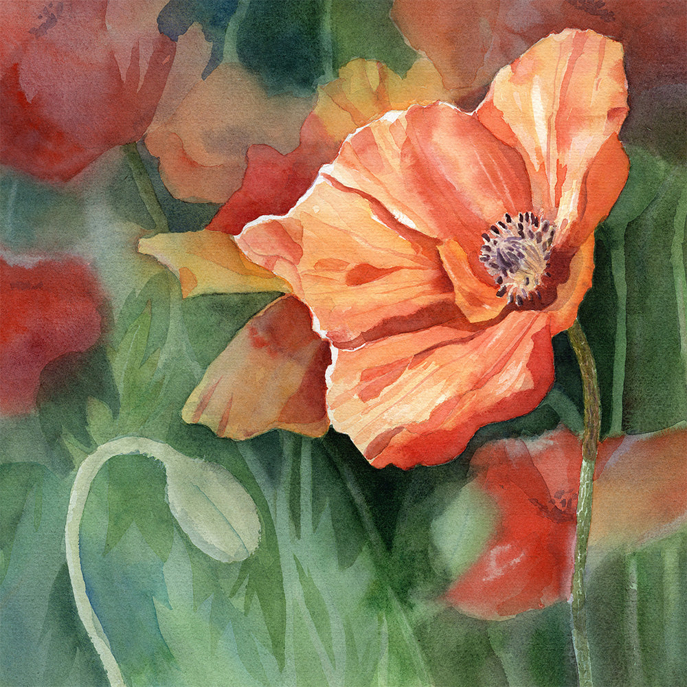 Wendy Millard - In Full Bloom