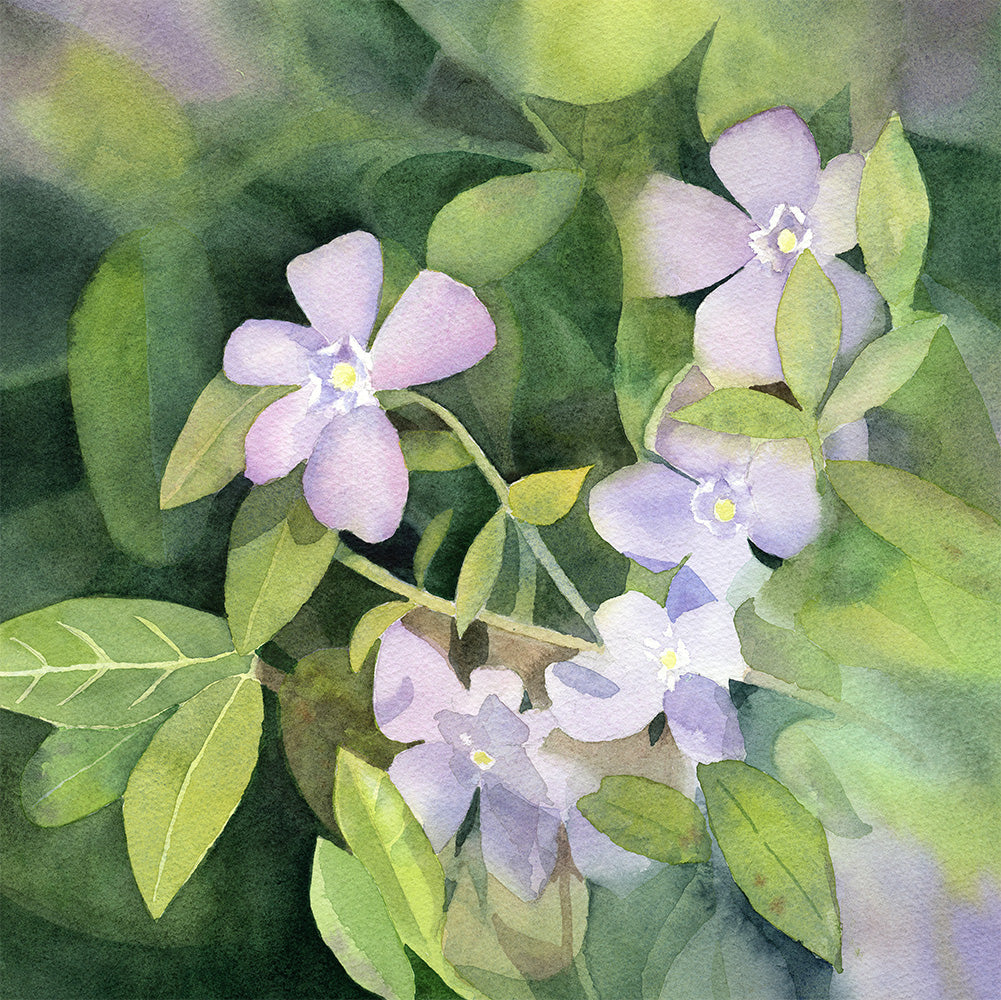 Wendy Millard - Quiet Bloom