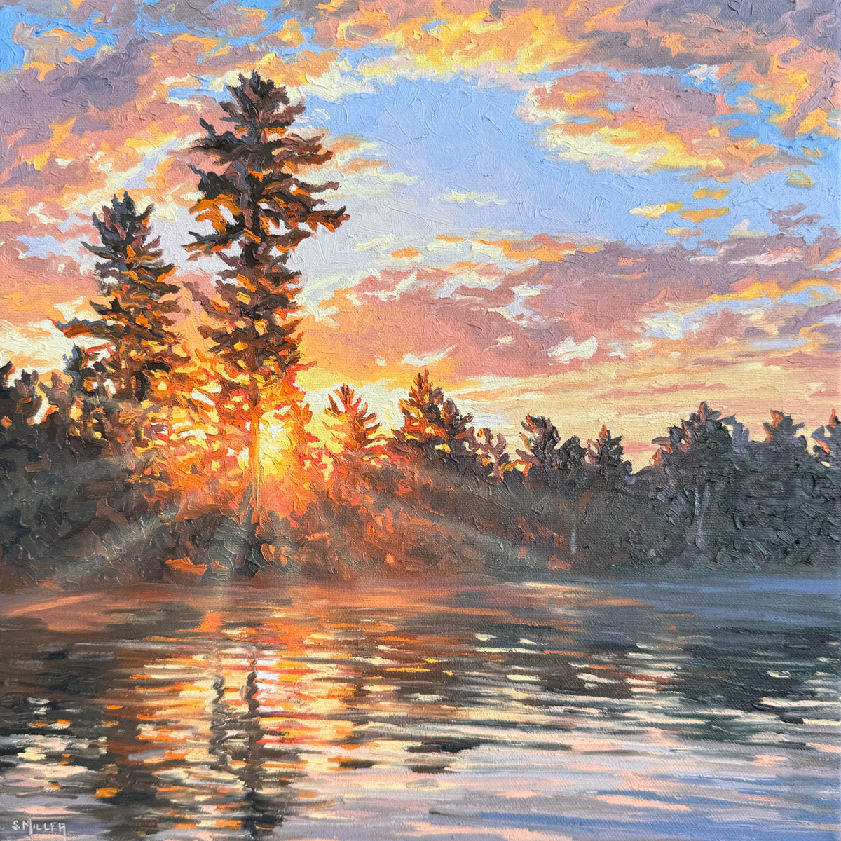 Sue Miller - Sweeping Light