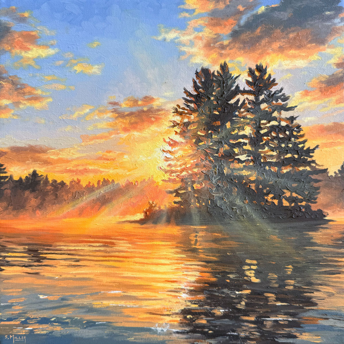 Sue Miller - Where the Wild Light Grows